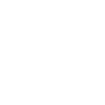 BOEHRINGER INGELHEIM