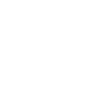 CO-BOY
