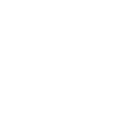 TSE